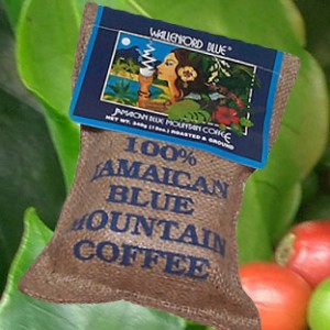 Blue Mountain Kaffee Jamaikatour1