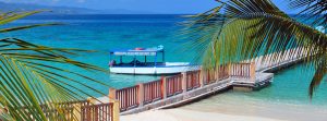 Jamaika Last Minute Coconut Apartment Montego Bay Jamaika