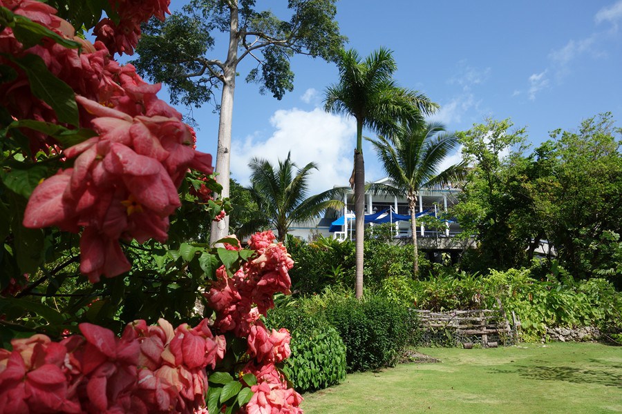 Mockingbird Hill Port Antonio Jamaika