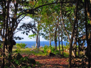 Jamaika Ferienhaus Oracabessa, Jamaika