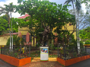 Rundreise Bob Marley