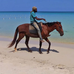Jamaika Rundreise Rastafari