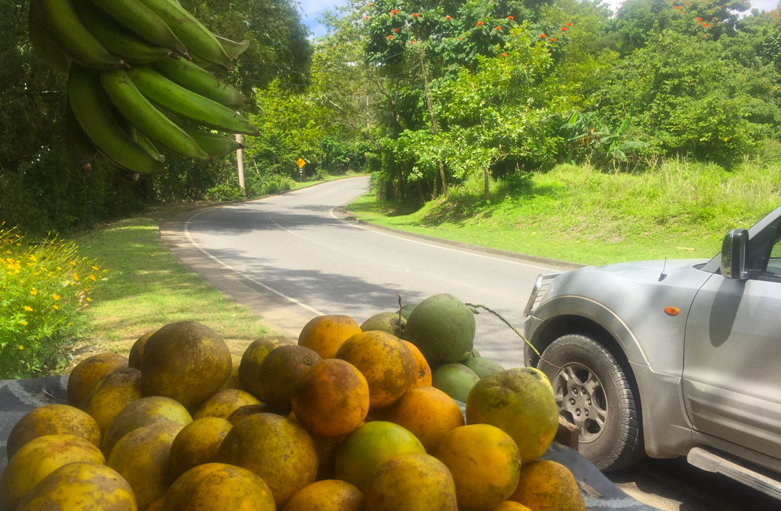 Jamaika Mietwagentour