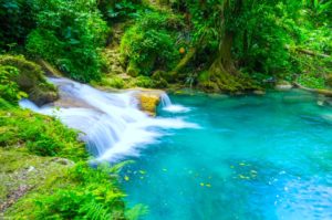 Frenchman's Cove Beach