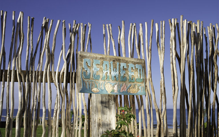 Seaweed Villa » Eine einzigartige Designer-Villa in Jamaika