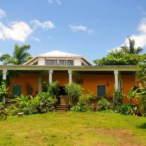 Guesthouses in Port Antonio