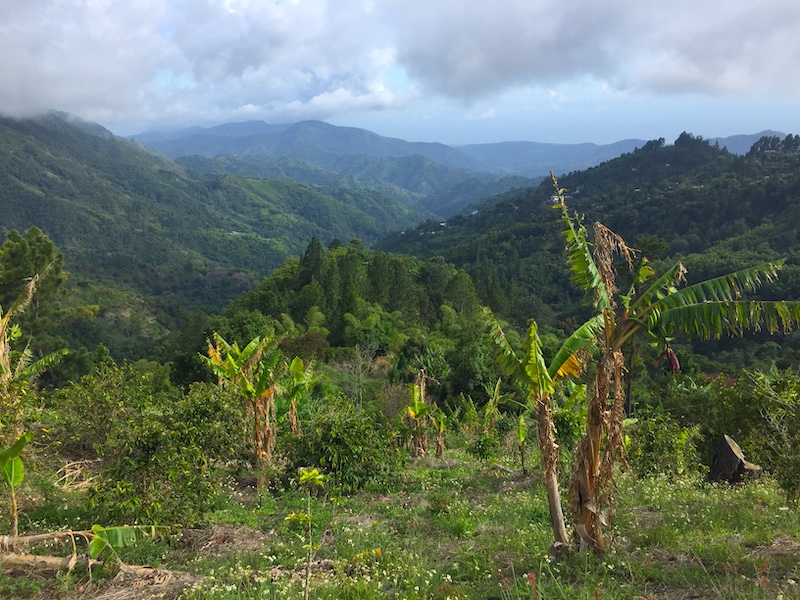 Wandern in Jamaika