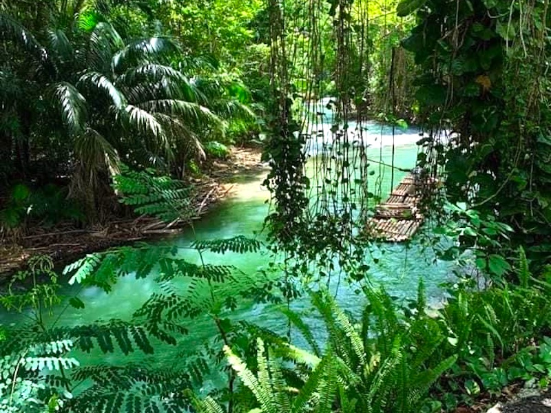 Blue Mountains Jamaika