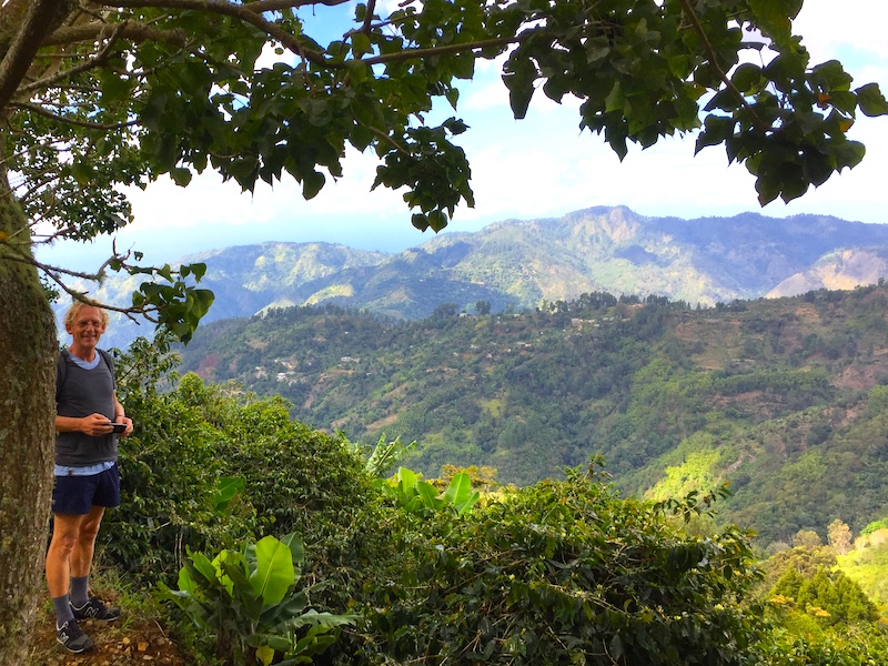 Blue Mountains Jamaika