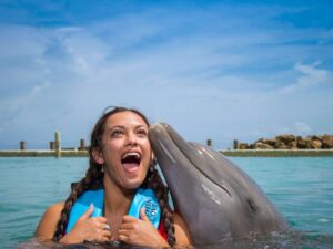 Dolphin Cove Jamaika
