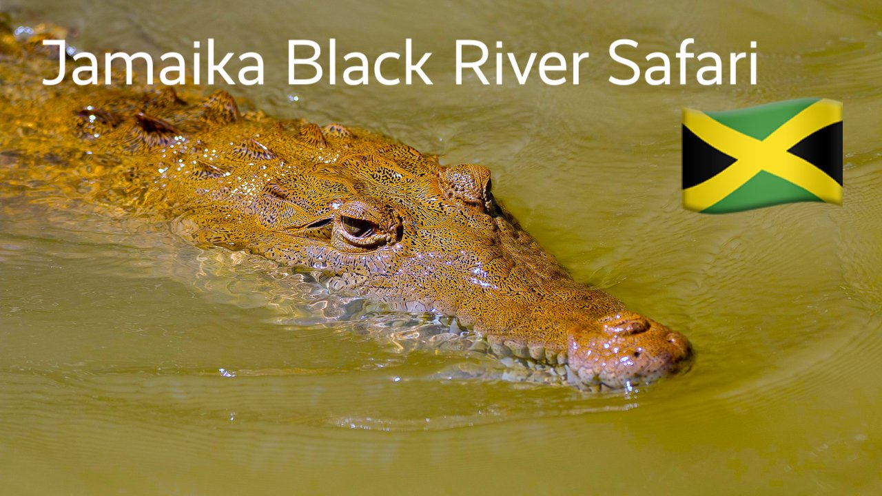 Jamaika Black River Safari