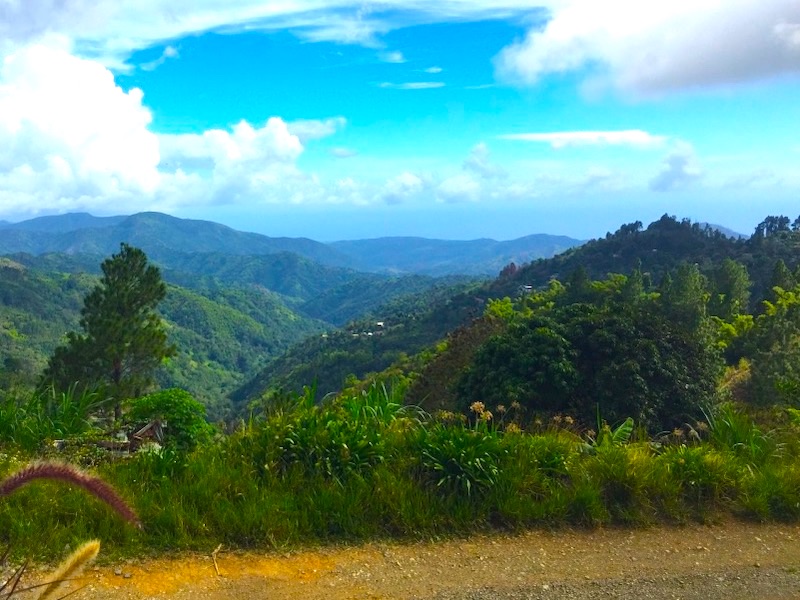 Jamaika Wanderurlaub in den Blue Mountains