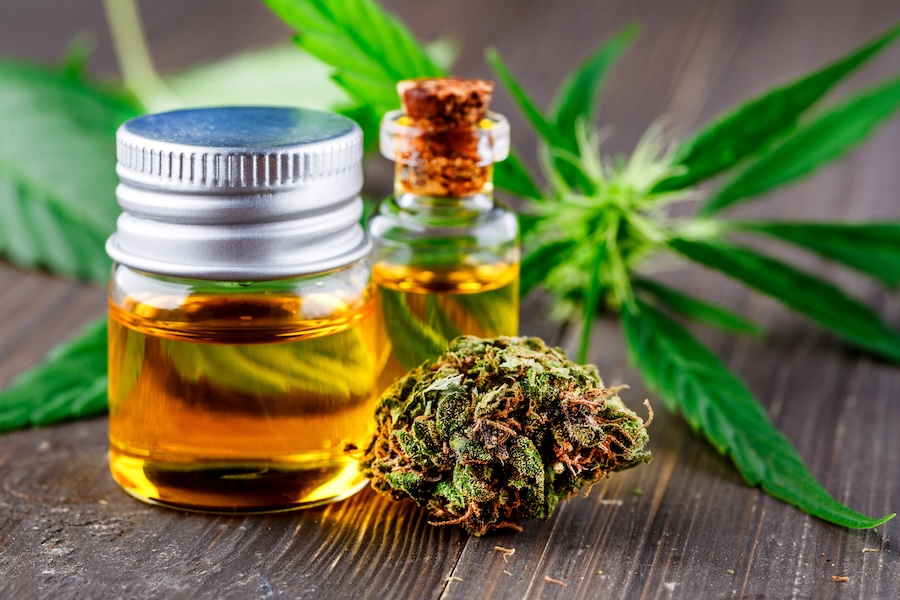 Jamaika Cannabis Touren