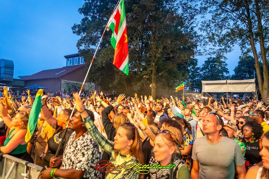 Reggae Jam 2025